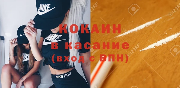 дмт Мегион