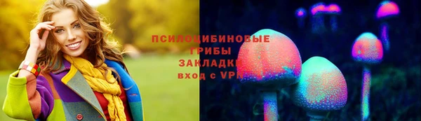 гидропоника Магас