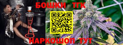 дживик Кингисепп
