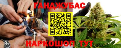 дживик Кингисепп