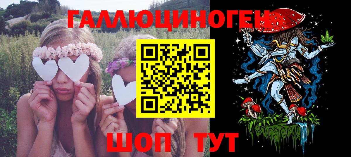 Галлюциногенные грибы Psilocybe Курск