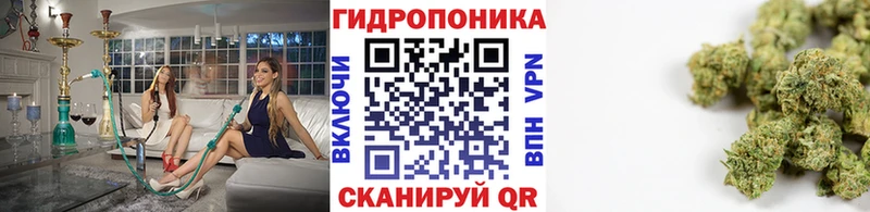 МЕГА tor  Курск  Конопля гибрид  купить  сайты 